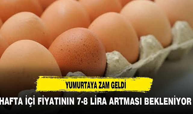 YUMURTAYA ZAM GELDİ