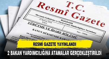 2 bakan yardımcılığına atama yapıldı