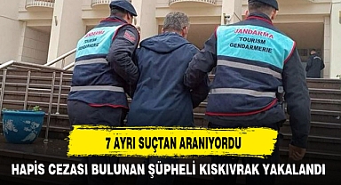 7 AYRI SUÇTAN ARANIYORDU