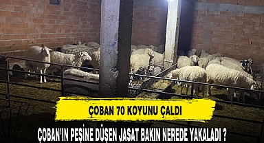 AFYON'DA BİR ÇOBAN 70 KOYUNU ÇALDI