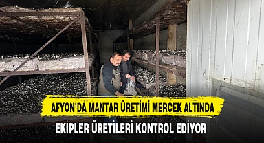 Afyon'da Ekipler Mantar Üreticilerini Kontrol Ediyor