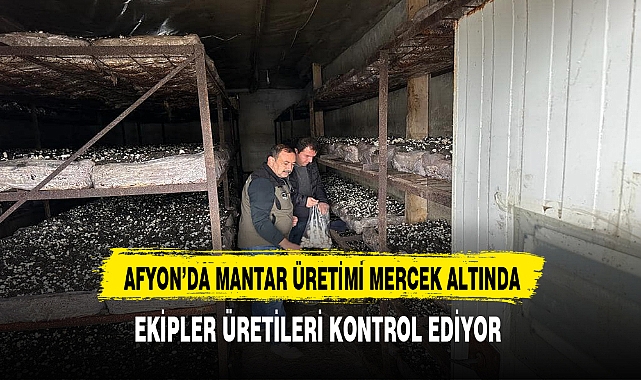 Afyon'da Ekipler Mantar Üreticilerini Kontrol Ediyor