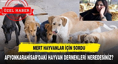 AFYONKARAHİSAR'DAKİ HAYVAN DERNEKLERİ NEREDESİNİZ?