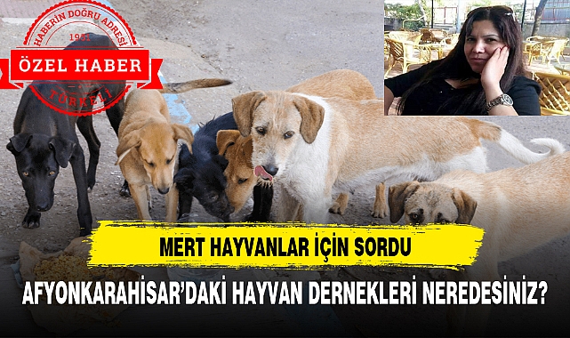 AFYONKARAHİSAR'DAKİ HAYVAN DERNEKLERİ NEREDESİNİZ?