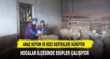 Anaç Koyun ve Keçi Destekleri Sürüyor. Hocalarda Ekipler Çalışıyor