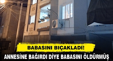 Annesine Bağırdı Diye Babasını Öldürmüş