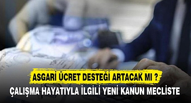 ASGARİ ÜCRET DESTEĞİ ARTACAK MI ?