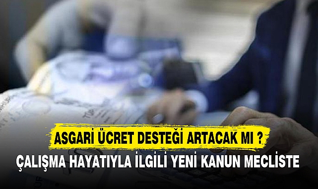 ASGARİ ÜCRET DESTEĞİ ARTACAK MI ?