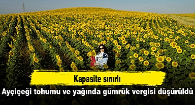 Ayçiçeği tohumu ve yağında gümrük vergisi düşürüldü