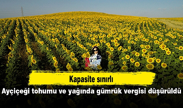 Ayçiçeği tohumu ve yağında gümrük vergisi düşürüldü