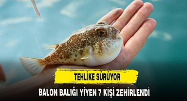 BALON BALIĞI TEHLİKESİ SÜRÜYOR