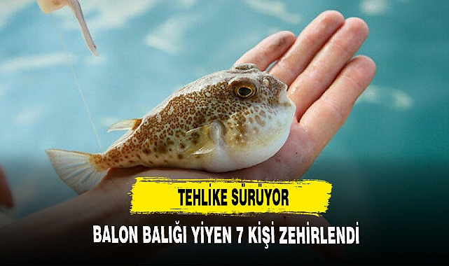 BALON BALIĞI TEHLİKESİ SÜRÜYOR