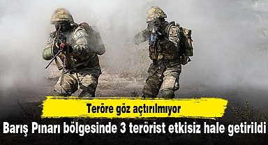 Barış Pınarı bölgesinde 3 terörist etkisiz hale getirildi