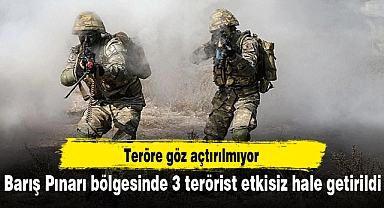 Barış Pınarı bölgesinde 3 terörist etkisiz hale getirildi