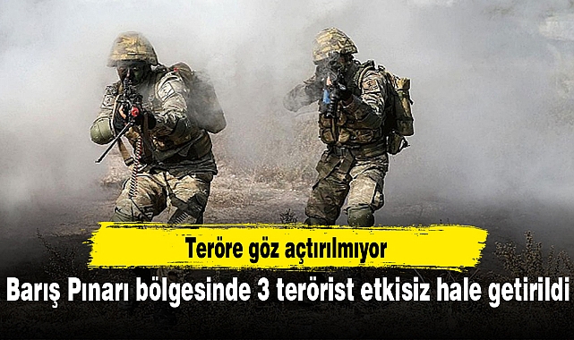 Barış Pınarı bölgesinde 3 terörist etkisiz hale getirildi