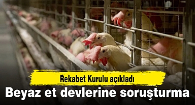 Beyaz et devlerine soruşturma