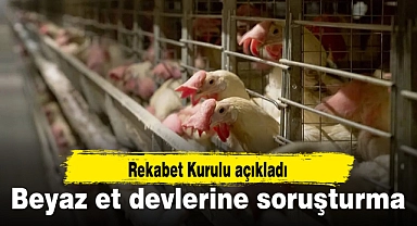 Beyaz et devlerine soruşturma