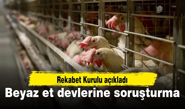 Beyaz et devlerine soruşturma