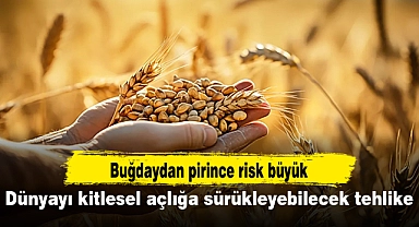 Bitki salgınları dünyayı kitlesel açlığa sürükleyebilir