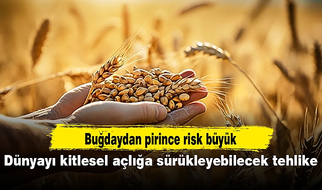 Bitki salgınları dünyayı kitlesel açlığa sürükleyebilir