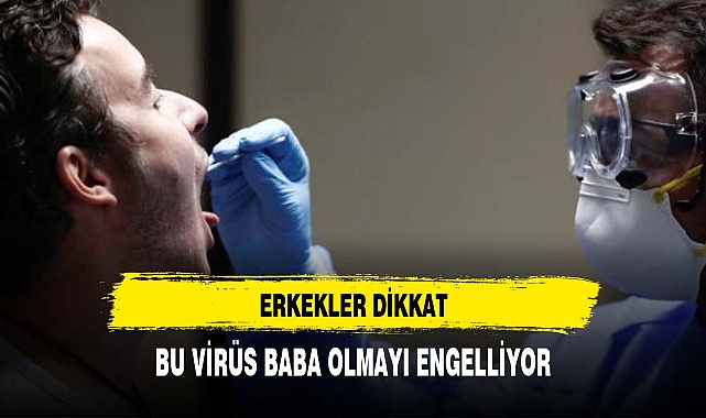Bu virüs baba olmayı engelliyor