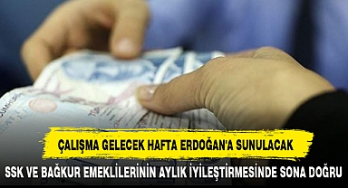 ÇALIŞMA GELECEK HAFTA ERDOĞAN'A SUNULACAK