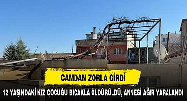 CAMDAN ZORLA GİRDİ