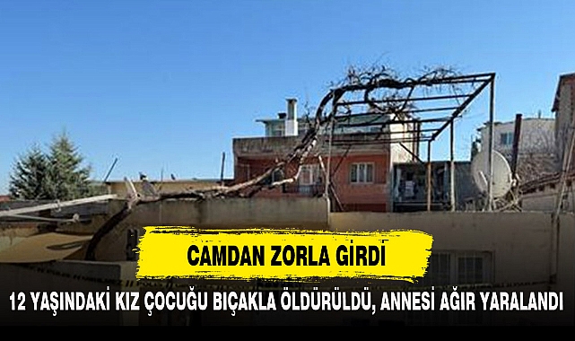 CAMDAN ZORLA GİRDİ