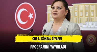 CHP'li Köksal'ın Günlük Programı Yayınladı
