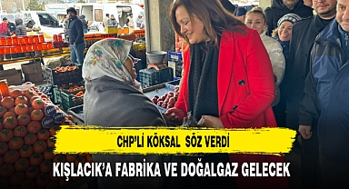 CHP'li Köksal Kışlacık'a Söz Verdi