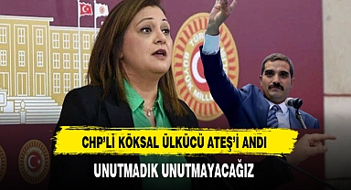 CHP'li Köksal Sinan Ateş'i Andı