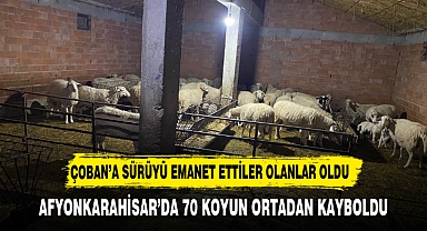 Çoban yanında işe girdiği sürü sahibinin 70’e yakın hayvanını çaldı