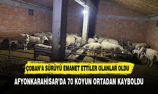 Çoban yanında işe girdiği sürü sahibinin 70’e yakın hayvanını çaldı