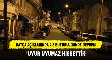 Datça Açıklarında 4.3 Büyüklüğünde Deprem