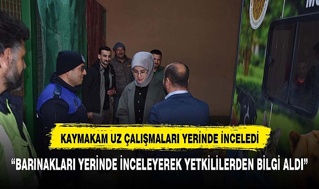 Dazkırı Kaymakamı Zeliha UZ, Hayvan Dostlarımız İçin Aşı ve Kısırlaştırma Çalışmalarını İnceledi