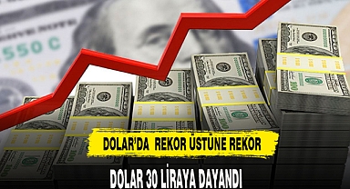 DOLAR 30 LİRAYA DAYANDI