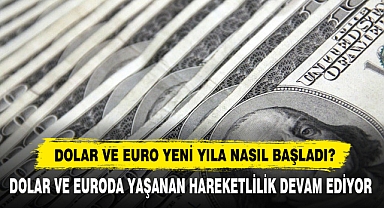Dolar Ve Euro Yeni Yıla Nasıl Başladı?