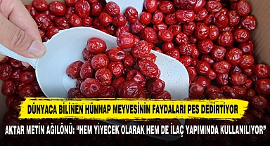 Dünyaca Bilinen Hünnap Meyvesinin Faydaları Pes Dedirtiyor