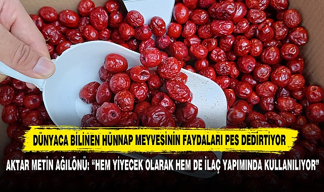 Dünyaca Bilinen Hünnap Meyvesinin Faydaları Pes Dedirtiyor