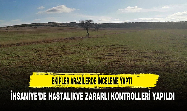 Ekipler Hastalık ve Zararlı Kontrollerini Gerçekleştirdi.