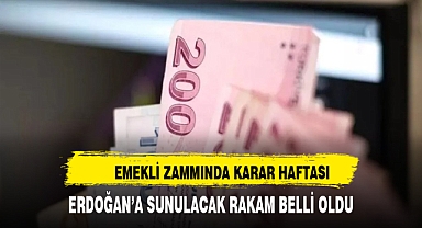Emeklinin zammında karar haftası: Erdoğan'a sunulacak rakam belli oldu