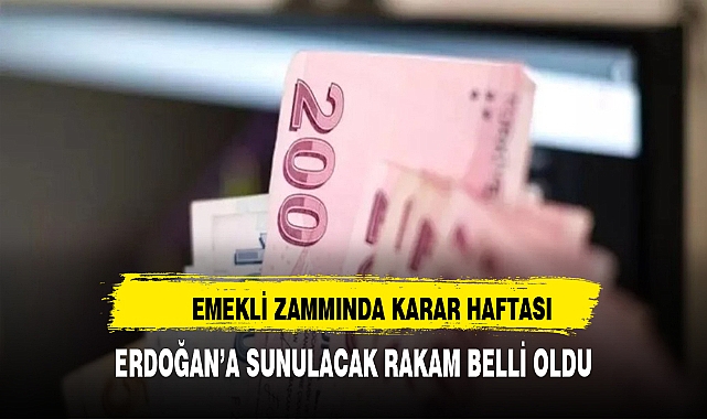Emeklinin zammında karar haftası: Erdoğan'a sunulacak rakam belli oldu