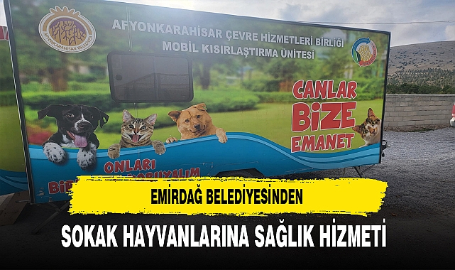 Emirdağ Belediyesinden Sokak Hayvanlarına Sağlık Hizmeti
