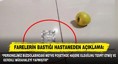 Farelerin Bastığı Hastaneden Açıklama: