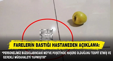 Farelerin Bastığı Hastaneden Açıklama: