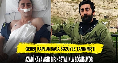 GEBEŞ KAPLUMBAĞA HASTAHANEYE KALDIRILDI