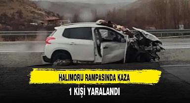 Halımoru Rampasında Trafik Kazası 1 Kişi Yaralandı