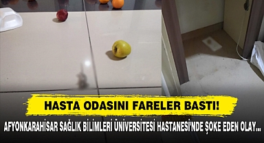 Hasta Odasını Fareler Bastı!