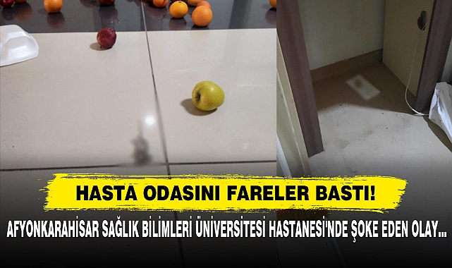 Hasta Odasını Fareler Bastı!