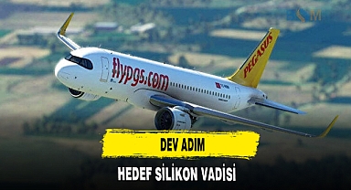 HEDEF SİLİKON VADİSİ